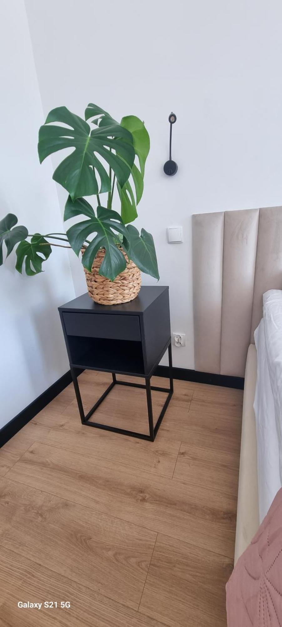 Apartament Moje Dabrowno Exterior foto
